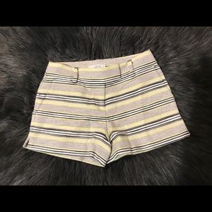 Petite LOFT Shorts